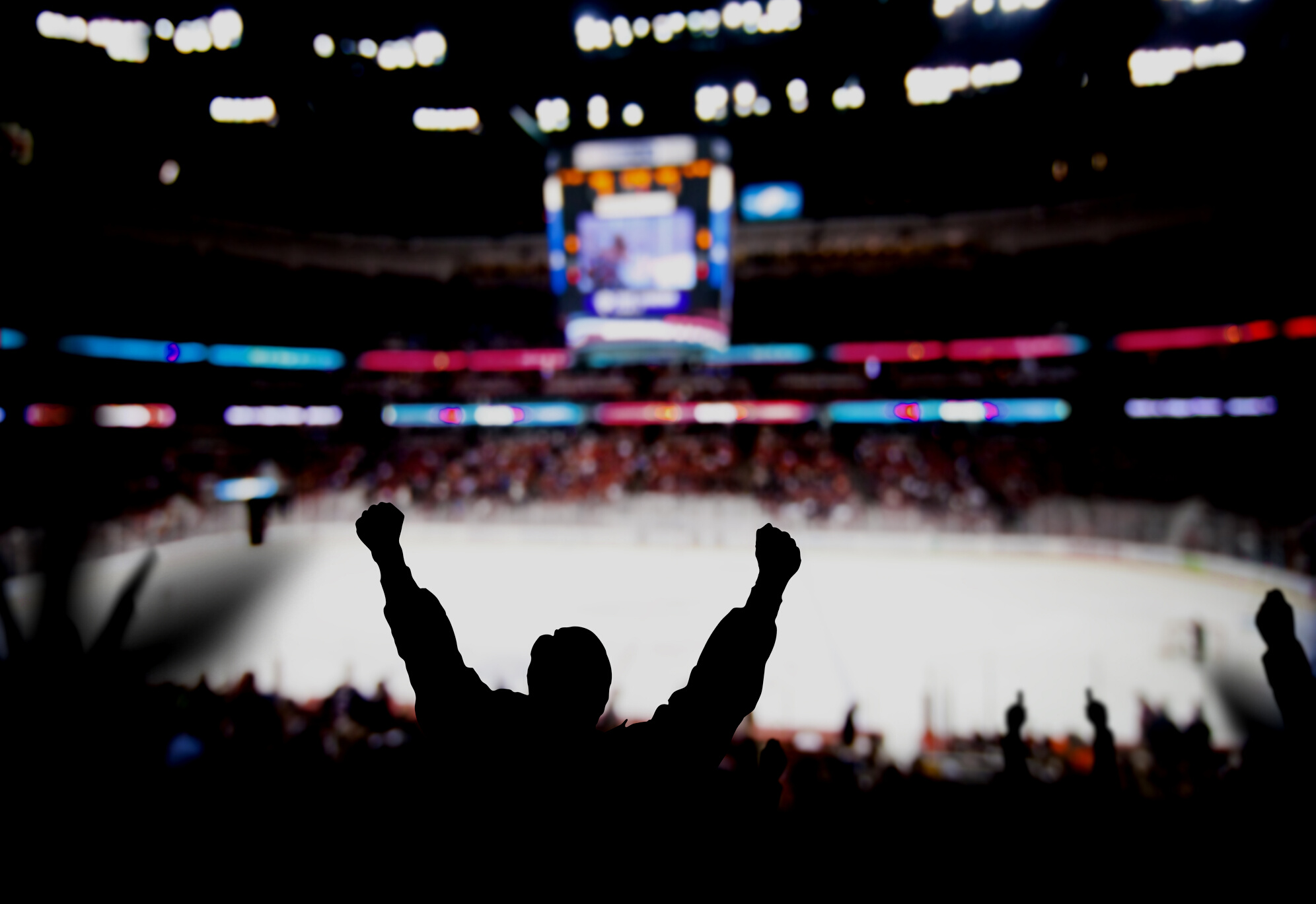 Hockey Excitement